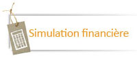 simulation financière